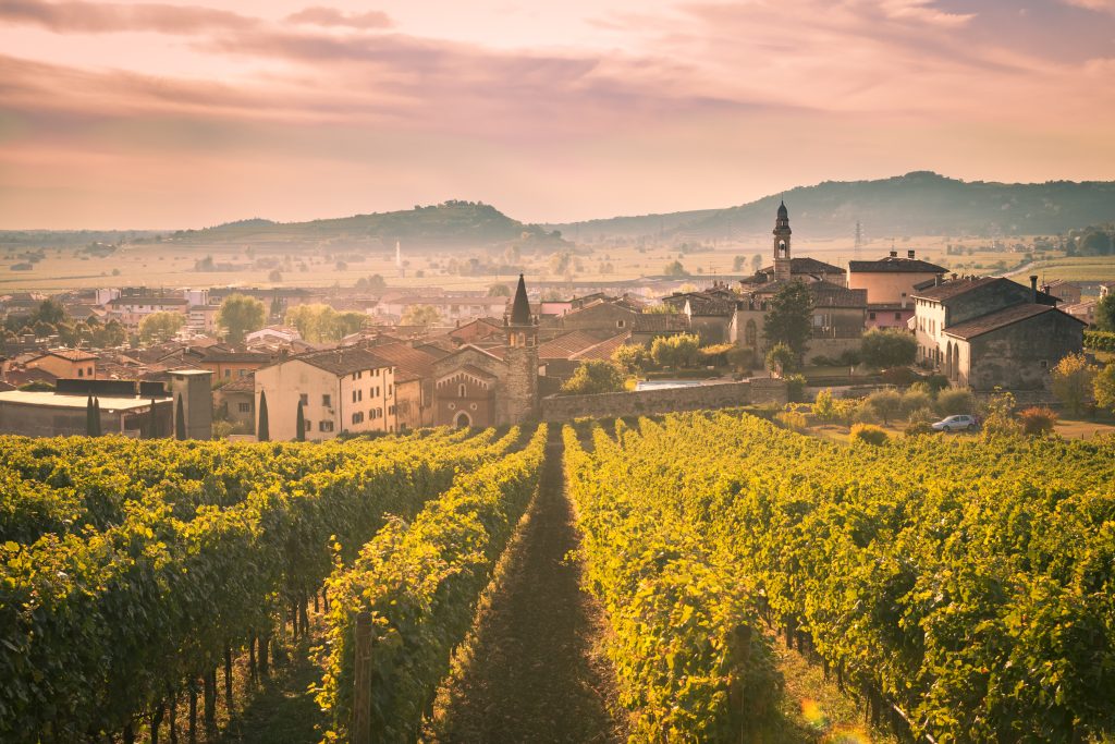 soave italy wine tour verona
