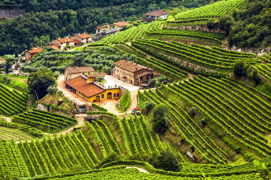 best day tours from verona countryside
