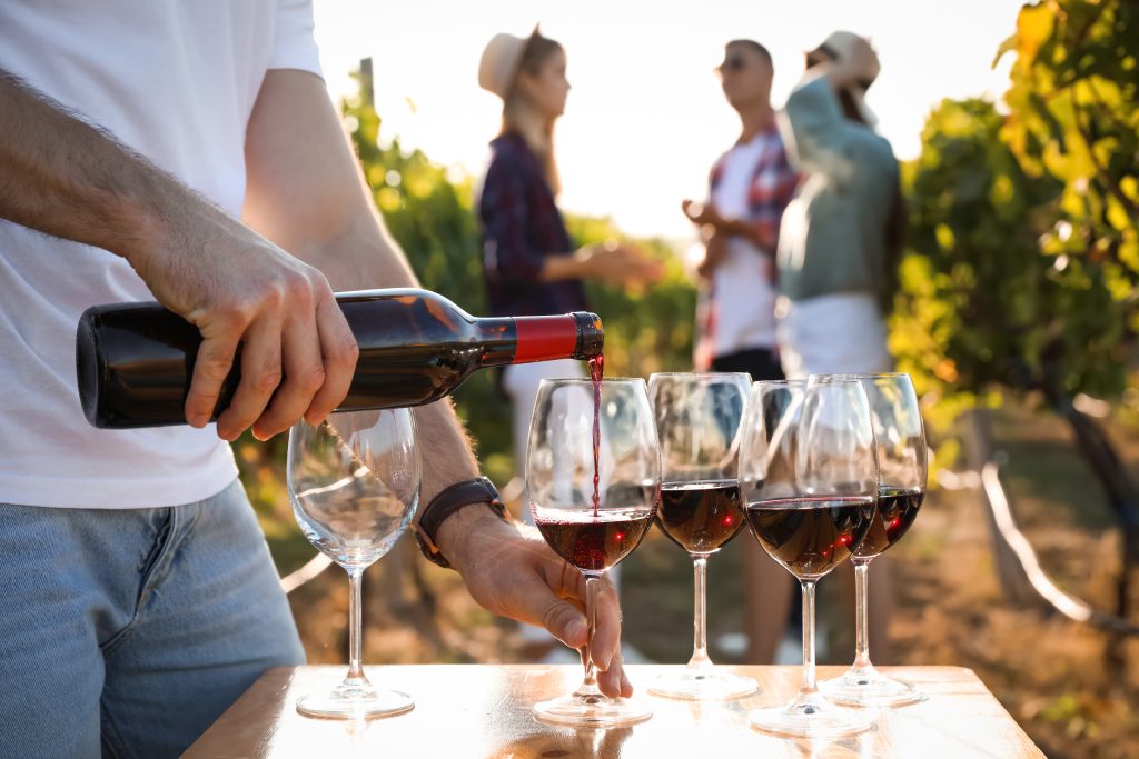 winery tasting vineyard tuscany