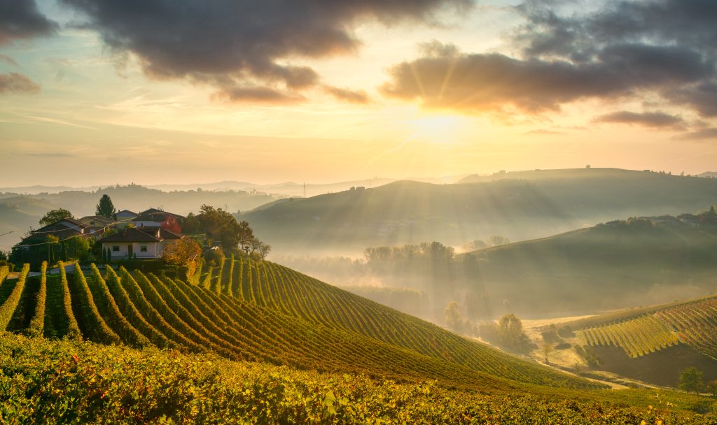 Packages: Ask a Question - Tourist Italy