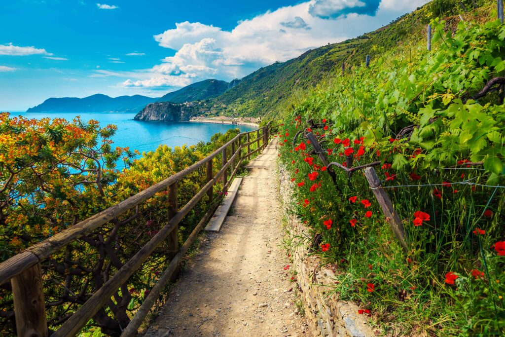 cinque terre hiking tour